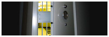 National Will Custody